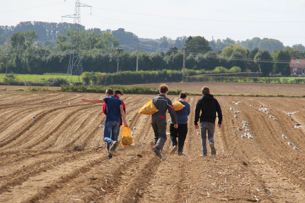 SOLAAL Hauts-de-France : facilitateur du don agricole au service du territoire 