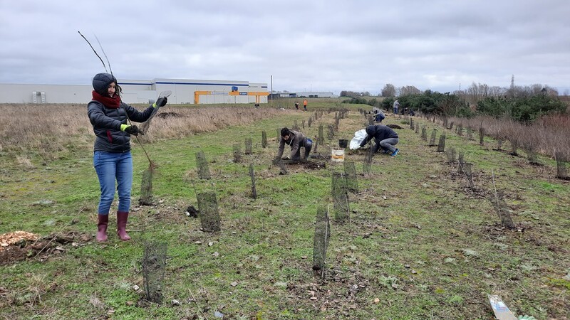 Biodiversité : les actions de la LPO Hauts-de-France pour accompagner la conduite du changement